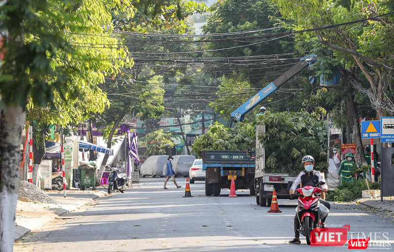 Công nhân công ty cây xanh cắt tỉa cây trên đường Trưng Nữ Vương, chuẩn bị cho mùa mưa bão sắp đến