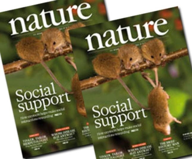 Hình ảnh về tạp chí Nature Anh (ảnh minh họa)