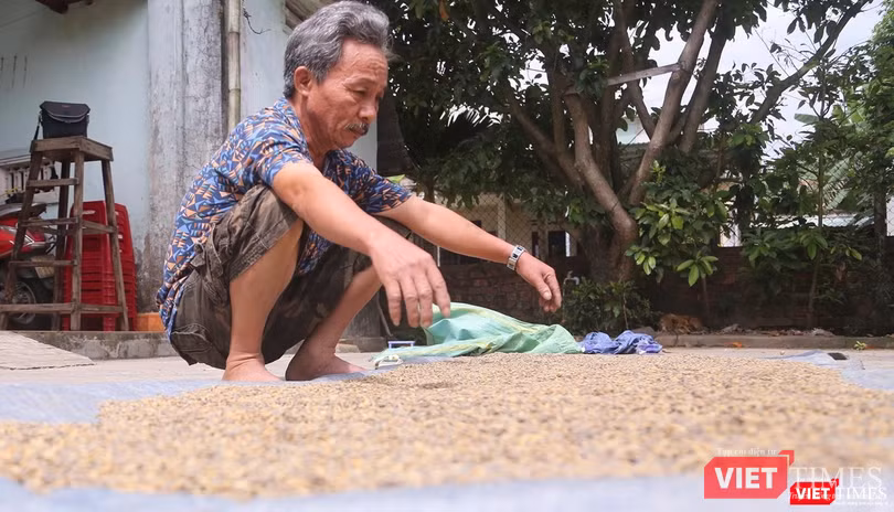 Ông Bùi Văn Mười (trú thôn Phước Hậu, xã Hòa Nhơn, Huyện Hòa Vang, TP Đà Nẵng) thẩn thờ bên vụ mùa bị hư hại