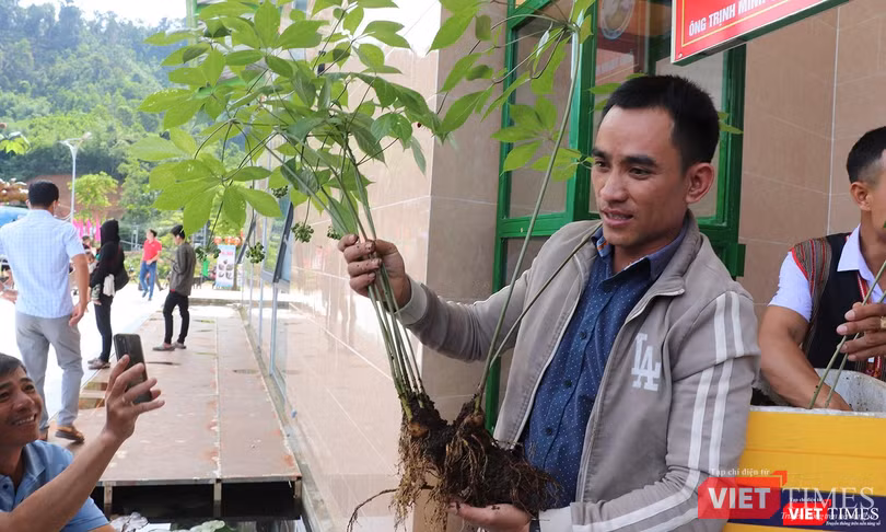 Ông Thắng và cây sâm