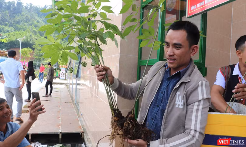Cây sâm Ngọc Linh được chủ nhân ra giá giá 900 triệu đồng tại phiên chợ sâm huyện Nam Trà My (Quảng Nam)