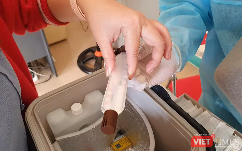 Vaccine COVID-19 được bảo quản theo đúng quy định của Bộ Y tế