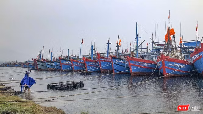 Tàu thuyền vào neo đậu tránh bão tại âu thuyền Thọ Quang (Đà Nẵng)