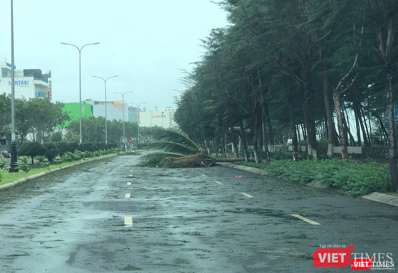 Cây xanh gãy đổ trên đường Nguyễn Tất Thành