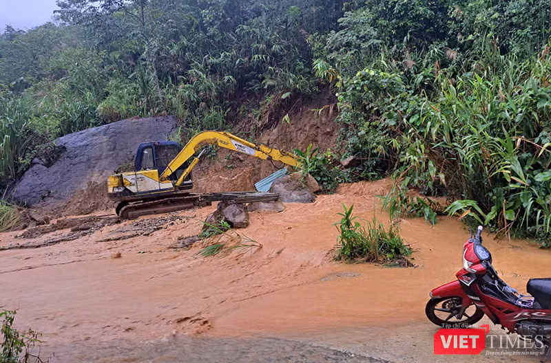 vt_quang nam so tan dan 3.png