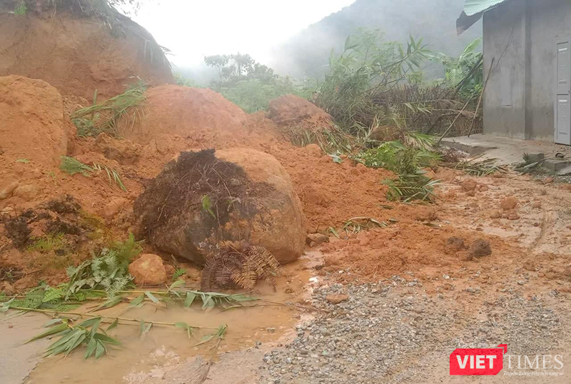 vt_quang nam so tan dan 2.png