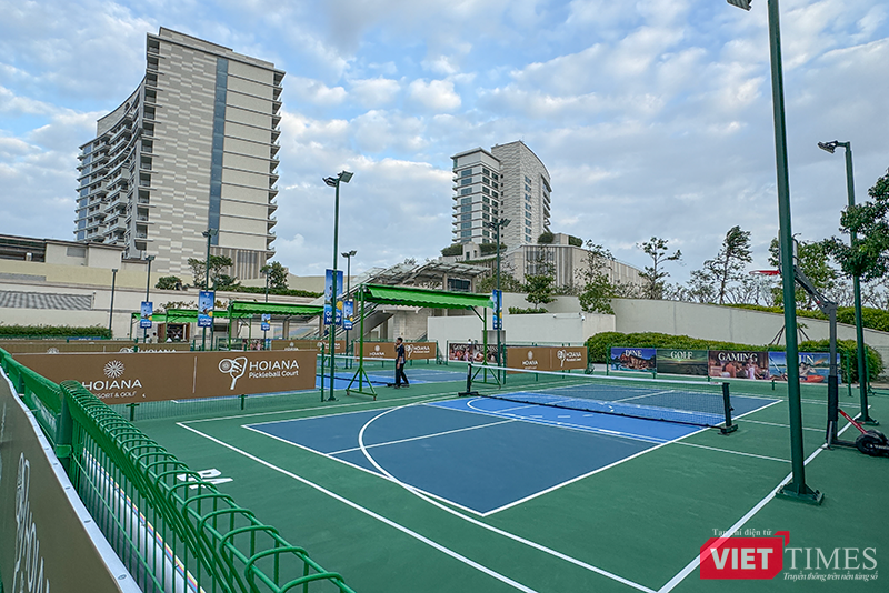 vt_anh pickleball 1.png