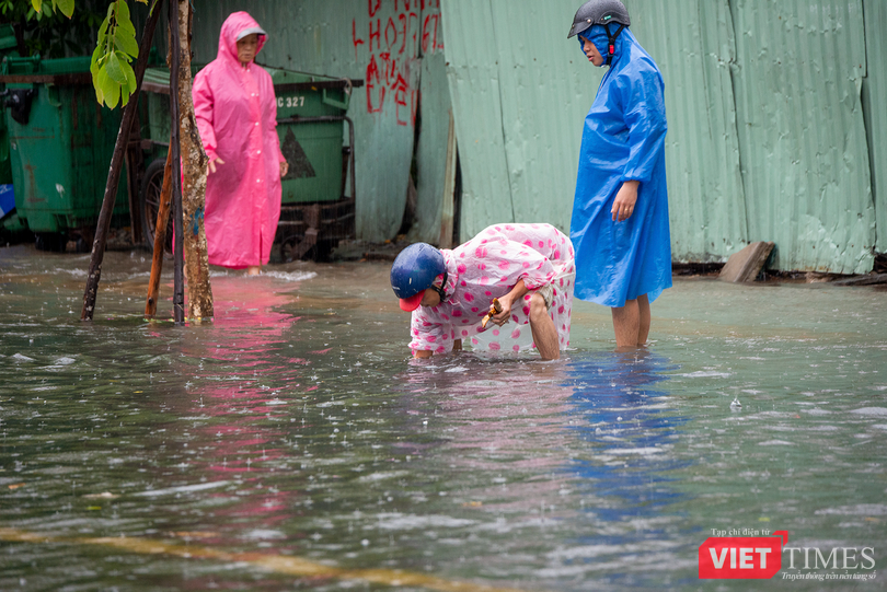 vt_da nang ngap 8.png