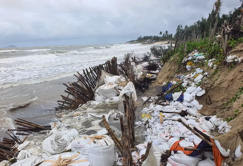 Một đoạn bờ biển Cửa Đại, TP Hội An, Quảng Nam bị sạt lở nghiêm trọng