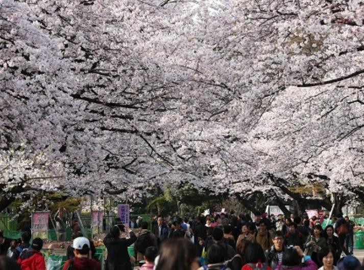 Du khách tham quan ở Thủ đô Tokyo, Nhật Bản. Ảnh: Cankao