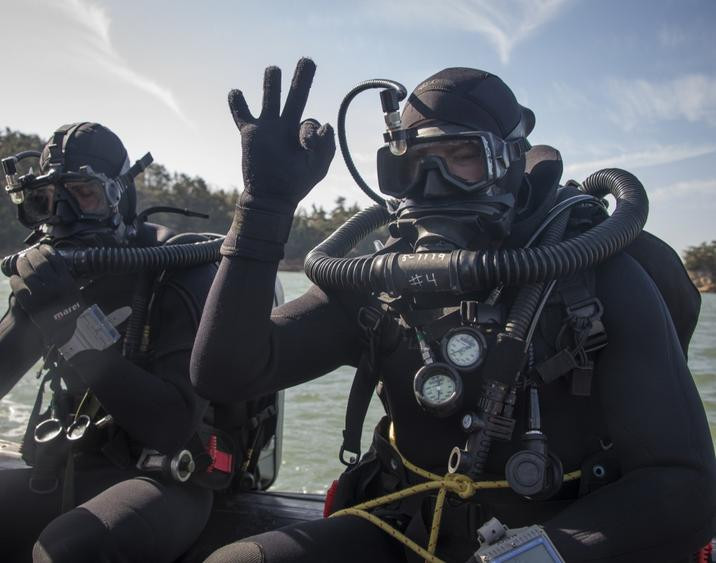 Tập trận chung Foal Eagle 2017 giữa Mỹ - Hàn. Ảnh: Dvidshub