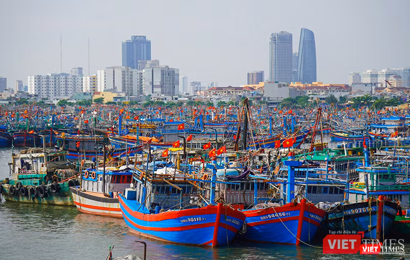 vt_ung pho bao tra mi 2.png