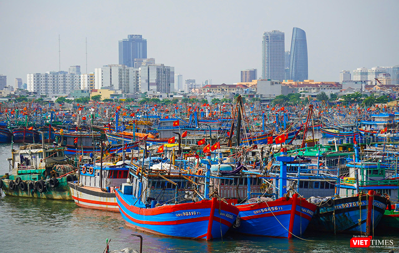 Tàu thuyền của ngư dân vào neo đậu tại âu thuyền Thọ Quang, thành phố Đà Nẵng để tránh bão.
