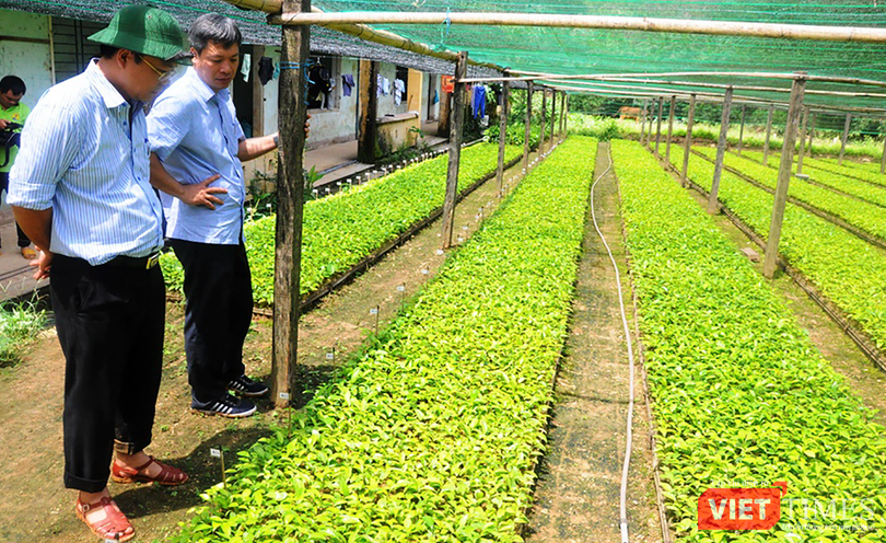 vt_sam viet nam 2.png