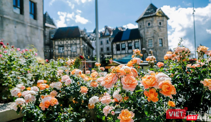 Vườn hồng làng Pháp tại Khu du lịch Sun World Ba Na Hills Vườn hồng làng Pháp tại Khu du lịch Sun World Ba Na Hills