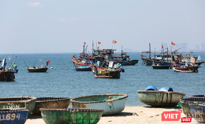 Thuyền thúng được kéo lên bờ Thuyền thúng được kéo lên bờ