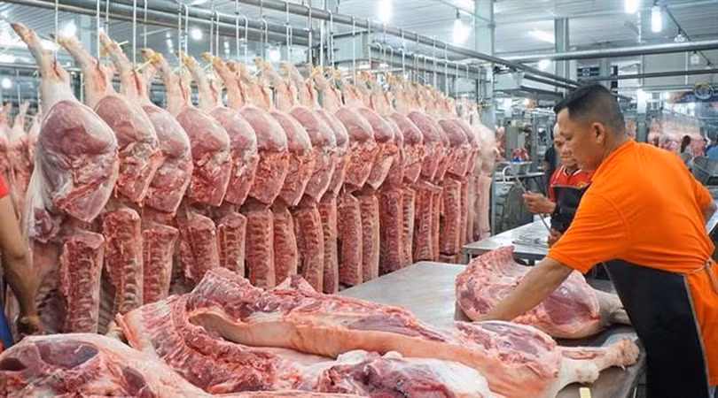 Giá thị lợn và nguyên liệu đầu vào có xu hướng tăng cao (ảnh Cổng thông tin Chính phủ)