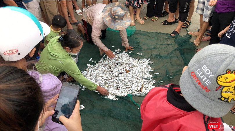 Mẻ lưới trước giờ bão Noru đổ bộ