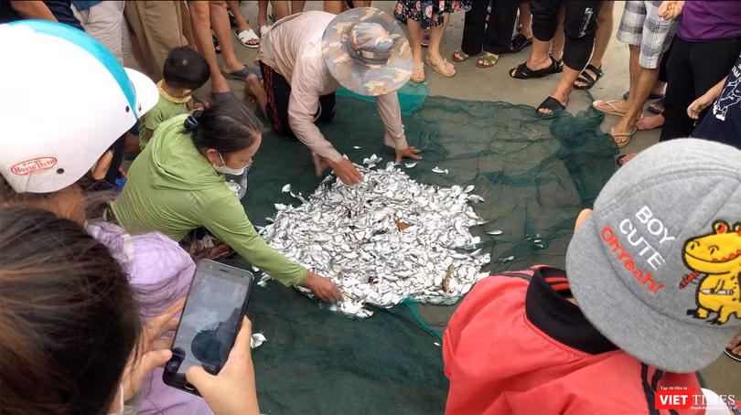 Mẻ lưới trước giờ bão Noru đổ bộ