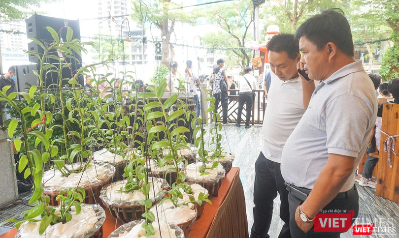 Giới mê lan chứng kiến vụ đổi siêu xe lấy lan đột biến