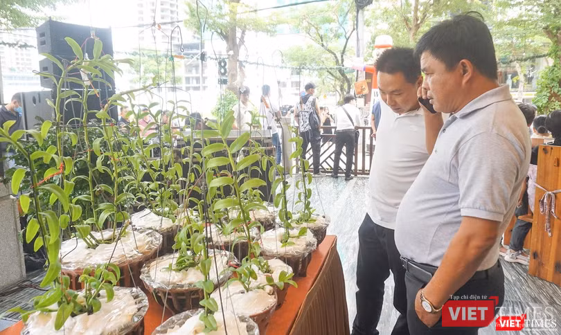 Giới mê lan chứng kiến vụ đổi siêu xe lấy lan đột biến