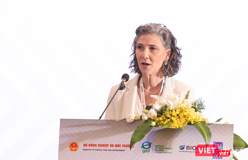 vt_ba dai dien undp.png