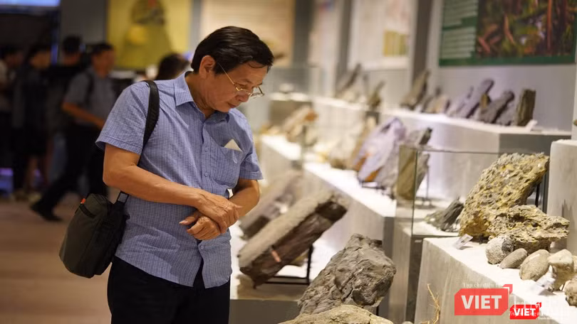 Trầm ngâm trước hoá thạch ngàn năm