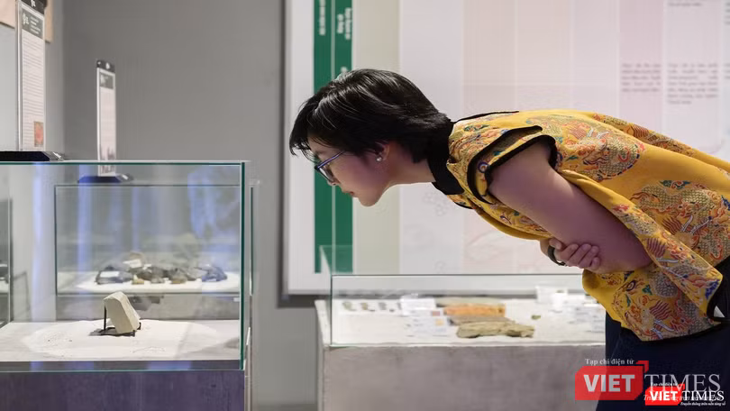 Có những hoá thạch lần đầu tiên công bố