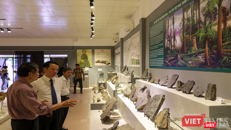 Khách tham quan chiêm ngưỡng các hoá thạch nghìn năm tuổi