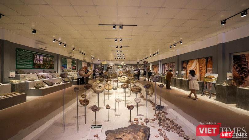 Một góc không gian triển lãm