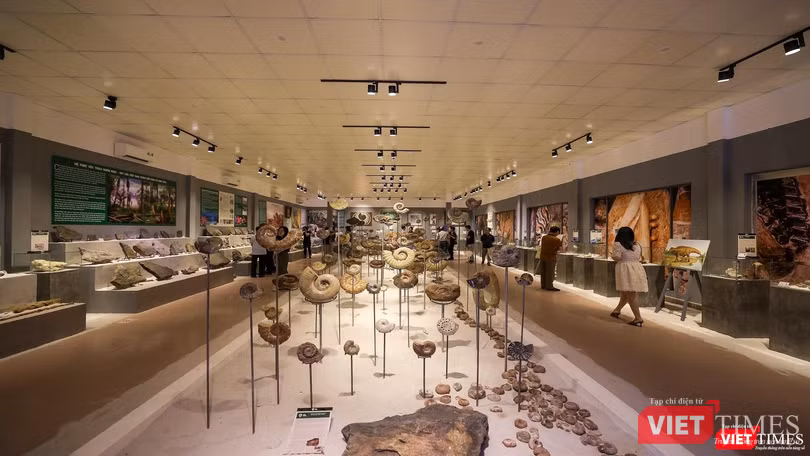 Một góc không gian triển lãm