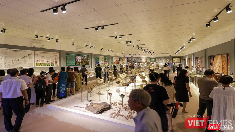 Không gian triển lãm