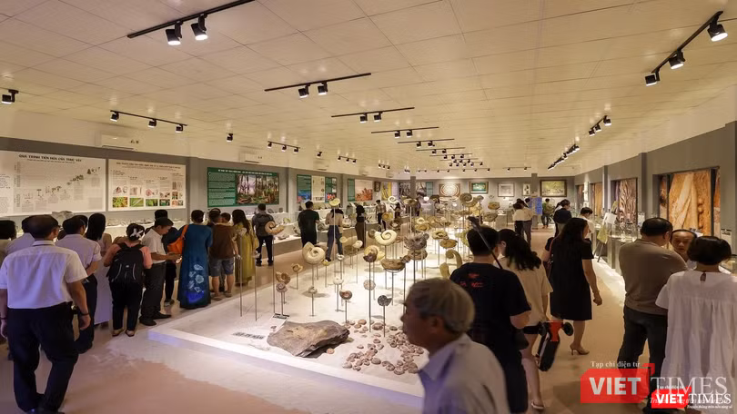 Không gian triển lãm