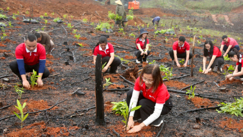 SeABank trao tặng hơn 670.800 cây keo phục hồi rừng Hà Tĩnh