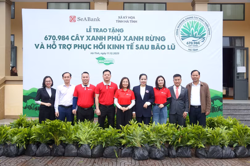 seabank-trong-rung-ha-tinh-2.jpg