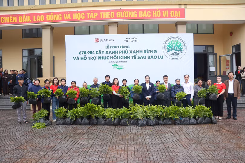 seabank-trong-rung-ha-tinh-3.jpg