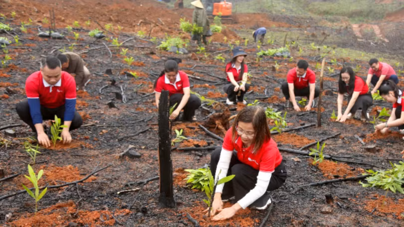 SeABank trao tặng hơn 670.800 cây keo phục hồi rừng Hà Tĩnh