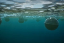 Iran tuyên bố sẽ rải thủy lôi khắp Vịnh Ba Tư nếu bị Mỹ tấn công trên bộ. Ảnh minh họa: Getty.