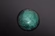 Ảnh minh họa: PM.