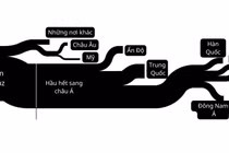 Nghẽn eo Hormuz: Hành trình của dầu mỏ bị đảo lộn như thế nào bởi chiến tranh?