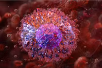 Một nhóm các nhà nghiên cứu Trung Quốc đã nạp thuốc chống ung thư vào các tế bào mast – loại tế bào gây ra các triệu chứng dị ứng khi tiếp xúc với các kháng nguyên như hải sản và phấn hoa – để đưa chúng vào khối u. Ảnh: Shutterstock.