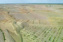 Trung Quốc đang cố gắng cải tạo sa mạc theo sáng kiến "Vạn lý trường thành xanh". Ảnh: IE.