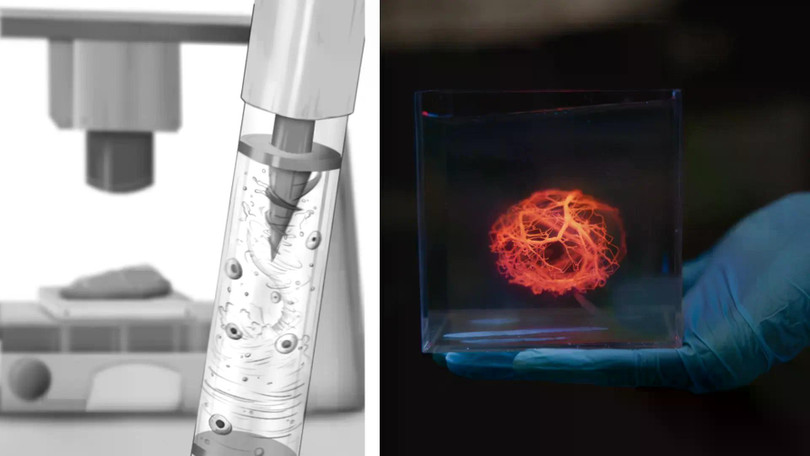 Công nghệ in sinh học 3D MagMix do MIT phát triển (trái) và Cấu trúc mạch máu được in bằng máy in sinh học 3D (phải). Ảnh: IE.
