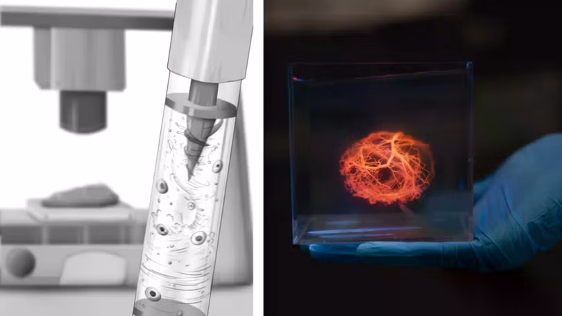 Công nghệ in sinh học 3D MagMix do MIT phát triển (trái) và Cấu trúc mạch máu được in bằng máy in sinh học 3D (phải). Ảnh: IE.
