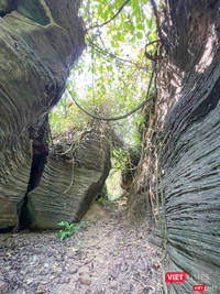 Hang Dơi được công nhận danh thắng cấp thành phố Đà Nẵng ảnh 4