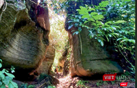 Hang Dơi được công nhận danh thắng cấp thành phố Đà Nẵng ảnh 5