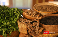 Măng rừng Tây Giang