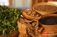 Măng rừng Tây Giang