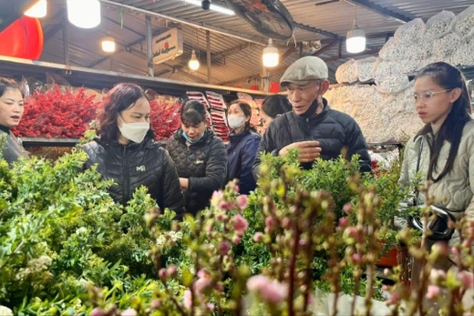 Chợ hoa lớn nhất Hà Nội dịp giáp Tết có gì đặc biệt?