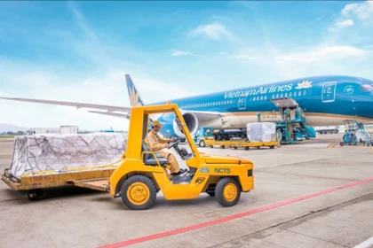 Doanh nghiệp hàng không ở Hà Nội miễn nhiệm Tổng Giám đốc